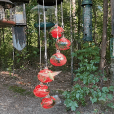 Hummingbird Feeder - Leak-proof seal