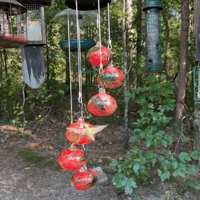 Hummingbird Feeder - Leak-proof seal